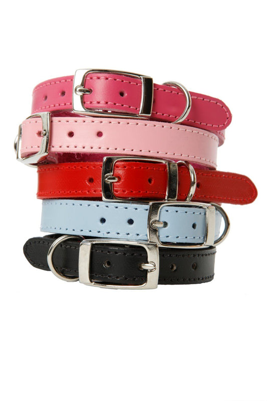 DOGUE Classic Leather Dog Collar