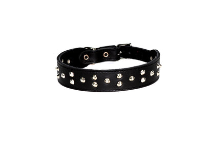DOGUE Stud Muffin Studded Leather Dog Collar