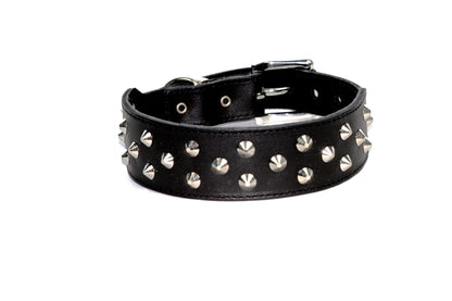 DOGUE Stud Muffin Studded Leather Dog Collar