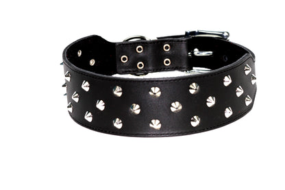 DOGUE Stud Muffin Studded Leather Dog Collar