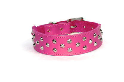 DOGUE Stud Muffin Studded Leather Dog Collar