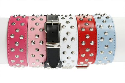 DOGUE Stud Muffin Studded Leather Dog Collar