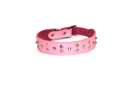 DOGUE Stud Muffin Studded Leather Dog Collar