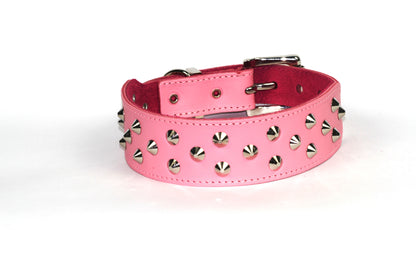 DOGUE Stud Muffin Studded Leather Dog Collar
