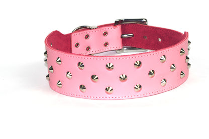 DOGUE Stud Muffin Studded Leather Dog Collar