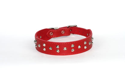 DOGUE Stud Muffin Studded Leather Dog Collar