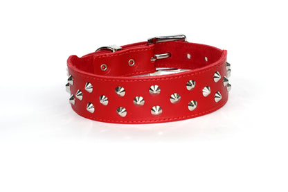 DOGUE Stud Muffin Studded Leather Dog Collar