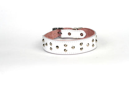 DOGUE Stud Muffin Studded Leather Dog Collar